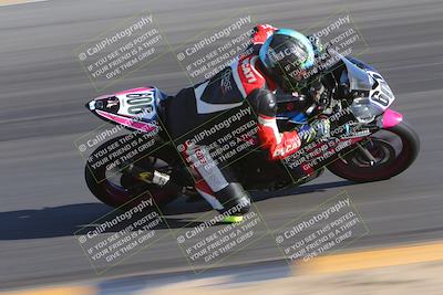 media/Dec-10-2023-SoCal Trackdays (Sun) [[0ce70f5433]]/Turn 10 Inside (140pm)/